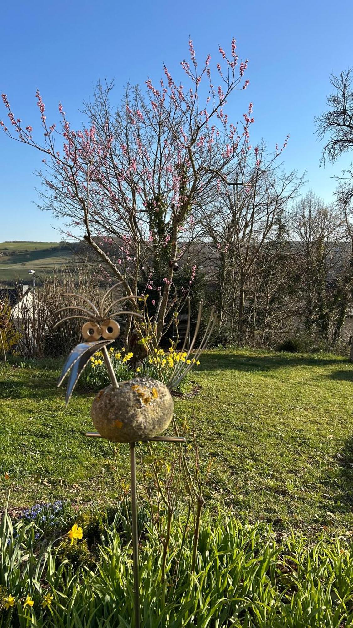 Apartamento Panoramablick Bad Sobernheim Exterior foto